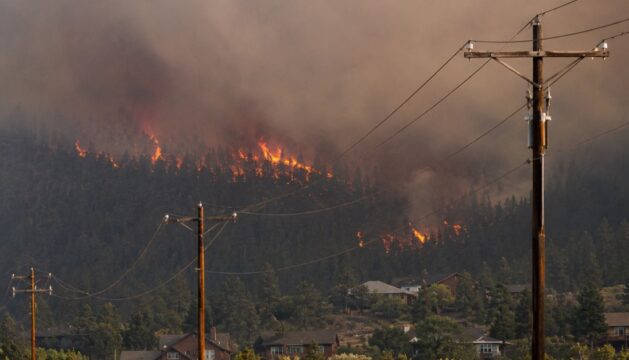 Orange flames from a wildfire burn over a hillside behind a row of power lines.
